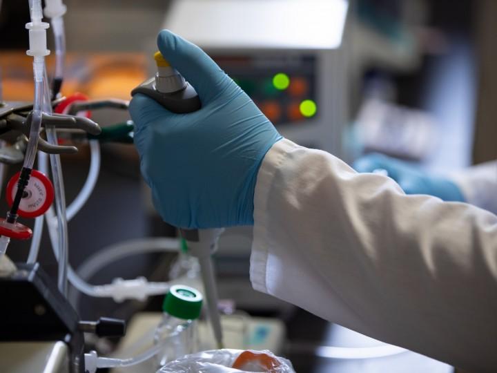 A student wearing glove works in lab